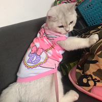 Słodkie zwierzątko kamizelka koszula lato kostium kota dla kotów kotek Kedi Mascotas odzież Sphynx strój dla szczeniaczka ropa para gatos vetement czat 3